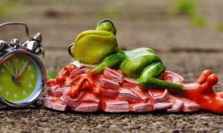 time is money, money calms down, sleep, heaps of money, frog, figure, nature, fun, cute, decoration, green, animal