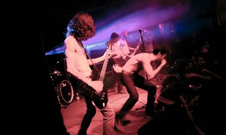 concerts, band, music, performance, stage, pop, rock, entertainment, sound, group, festival, nightlife, instrument, popular, guitar, melody, black music, black guitar, black group, black rock, black concert, band, band, band, band, band, popular, popular