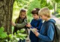 Bäume bestimmen mit Kindern: Einfache Naturübungen für Garten, Park und Wald
